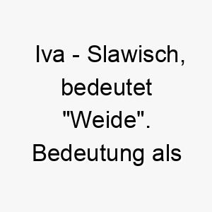 iva slawisch bedeutet weide bedeutung als hundename ideal fuer einen sanften oder liebevollen hund 15056