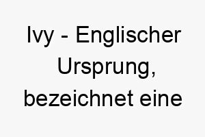 ivy englischer ursprung bezeichnet eine kletterpflanze bedeutung als hundename ideal fuer einen agilen oder lebhaften hund 14916