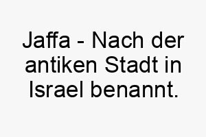 jaffa nach der antiken stadt in israel benannt bedeutung als hundename passt zu einem hund mit historischer oder biblischer bedeutung 15210