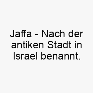 jaffa nach der antiken stadt in israel benannt bedeutung als hundename passt zu einem hund mit historischer oder biblischer bedeutung 15210