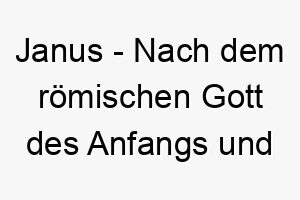 janus nach dem roemischen gott des anfangs und des endes benannt bedeutung als hundename fuer einen starken entschlossenen hund 15227