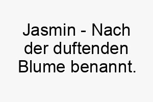 jasmin nach der duftenden blume benannt bedeutung als hundename ideal fuer einen suessen charmanten hund 15214