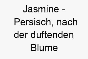 jasmine persisch nach der duftenden blume benannt bedeutung als hundename ideal fuer einen suessen charmanten hund 15247