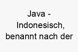 java indonesisch benannt nach der indonesischen insel bedeutung als hundename geeignet fuer einen abenteuerlichen oder lebhaften hund 15174