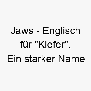jaws englisch fuer kiefer ein starker name fuer einen hund mit einem kraeftigen biss 20791