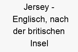 jersey englisch nach der britischen insel jersey benannt bedeutung als hundename perfekt fuer einen starken oder widerstandsfaehigen hund 15197