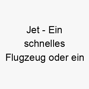 jet ein schnelles flugzeug oder ein tiefschwarzer edelstein ein schneller oder edler name fuer einen hund 20891