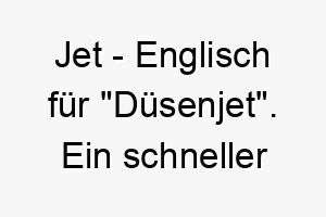 jet englisch fuer duesenjet ein schneller name fuer einen schnellen hund 20788