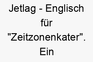 jetlag englisch fuer zeitzonenkater ein lustiger name fuer einen hund der oft schlaeft oder dessen schlafmuster unregelmaessig sind 20839