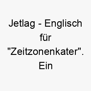 jetlag englisch fuer zeitzonenkater ein lustiger name fuer einen hund der oft schlaeft oder dessen schlafmuster unregelmaessig sind 20839