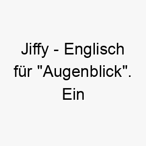 jiffy englisch fuer augenblick ein niedlicher name fuer einen kleinen schnellen hund 20892