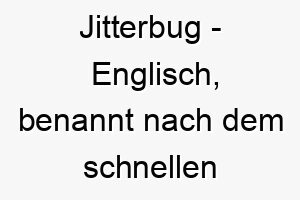 jitterbug englisch benannt nach dem schnellen und energischen tanz bedeutung als hundename geeignet fuer einen lebhaften oder energischen hund 15186