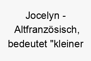 jocelyn altfranzoesisch bedeutet kleiner goth bedeutung als hundename perfekt fuer einen kleinen oder niedlichen hund 15194