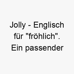 jolly englisch fuer froehlich ein passender name fuer einen hund der immer gut gelaunt ist 20876