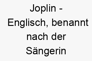 joplin englisch benannt nach der saengerin janis joplin bedeutung als hundename geeignet fuer einen musikalischen oder leidenschaftlichen hund 15180