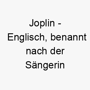 joplin englisch benannt nach der saengerin janis joplin bedeutung als hundename ideal fuer einen lebhaften oder energischen hund 15184