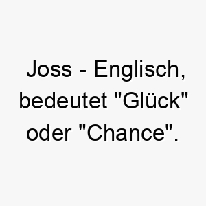 joss englisch bedeutet glueck oder chance bedeutung als hundename geeignet fuer einen gluecklichen oder erfolgreichen hund 15205