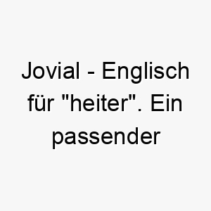 jovial englisch fuer heiter ein passender name fuer einen stets froehlichen hund 20877