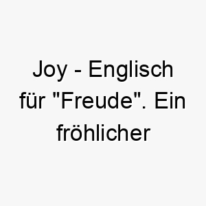 joy englisch fuer freude ein froehlicher name fuer einen hund der immer gluecklich ist 20793