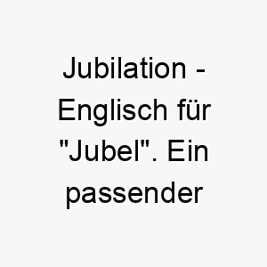 jubilation englisch fuer jubel ein passender name fuer einen froehlichen lebhaften hund 20881