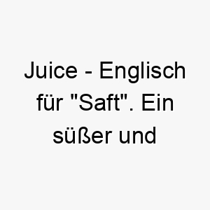 juice englisch fuer saft ein suesser und frischer name fuer einen lebhaften energiegeladenen hund 20811