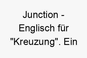 junction englisch fuer kreuzung ein einzigartiger name fuer einen hund der an einem wichtigen punkt in ihrem leben gekommen ist 20813