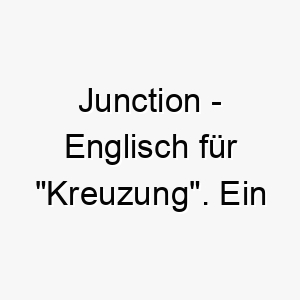 junction englisch fuer kreuzung ein einzigartiger name fuer einen hund der an einem wichtigen punkt in ihrem leben gekommen ist 20813