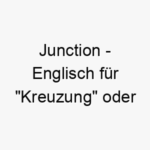 junction englisch fuer kreuzung oder verbindung ein passender name fuer einen hund der menschen oder andere hunde zusammenbringt 20887