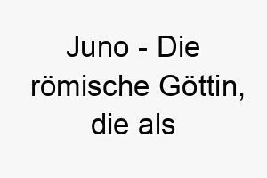 juno die roemische goettin die als beschuetzerin der frauen und der ehe bekannt ist obwohl juno weiblich ist kann dieser name auch fuer einen maennlichen hund passend sein insbesondere wenn er b 20867