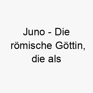 juno die roemische goettin die als beschuetzerin der frauen und der ehe bekannt ist obwohl juno weiblich ist kann dieser name auch fuer einen maennlichen hund passend sein insbesondere wenn er b 20867