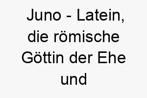 juno latein die roemische goettin der ehe und geburt bedeutung als hundename perfekt fuer einen starken oder beschuetzenden hund 15173