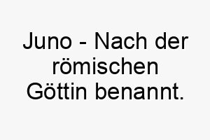 juno nach der roemischen goettin benannt bedeutung als hundename fuer einen starken majestaetischen hund 15218