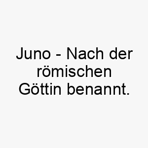 juno nach der roemischen goettin benannt bedeutung als hundename fuer einen starken majestaetischen hund 15218