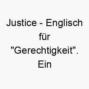 justice englisch fuer gerechtigkeit ein ehrenvoller name fuer einen fairen und gerechten hund 20794