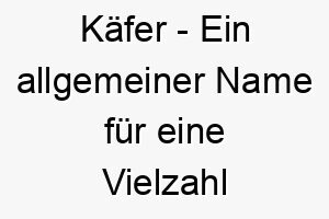 kaefer ein allgemeiner name fuer eine vielzahl von insekten ein lustiger und niedlicher name fuer einen kleinen robusten hund 21286