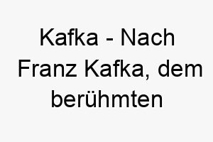 kafka nach franz kafka dem beruehmten schriftsteller ein literarischer name fuer einen tiefgruendigen oder nachdenklichen hund 21154