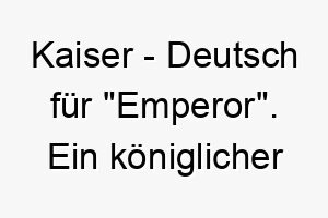 kaiser deutsch fuer emperor ein koeniglicher und majestaetischer name fuer einen hund 21250