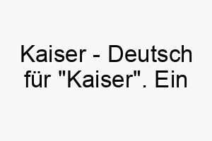 kaiser deutsch fuer kaiser ein majestaetischer name fuer einen herrschaftlichen hund 20953