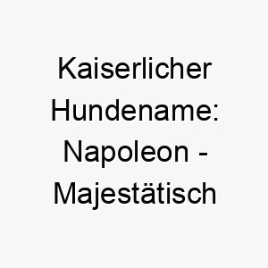 kaiserlicher hundename napoleon majestaetisch und maechtig fuer mutige vierbeiner 23292