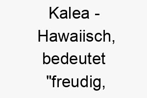 kalea hawaiisch bedeutet freudig gluecklich bedeutung als hundename fuer einen stets froehlichen lebenslustigen hund 15612