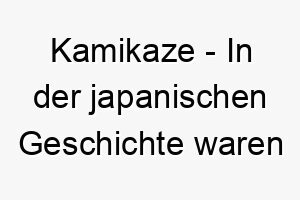 kamikaze in der japanischen geschichte waren dies piloten die selbstmordangriffe durchfuehrten ein starker und furchtloser name fuer einen hund 21249