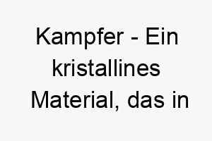 kampfer ein kristallines material das in einigen medizinischen und industriellen anwendungen verwendet wird ein einzigartiger name fuer einen aussergewoehnlichen hund 21239