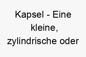 kapsel eine kleine zylindrische oder sphaerische huelle die oft medikamente oder andere substanzen enthaelt ein kleiner und schuetzender name fuer einen hund 21294