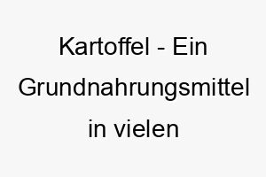 kartoffel ein grundnahrungsmittel in vielen kulturen ein lustiger und niedlicher name fuer einen molligen liebenswerten hund 21266