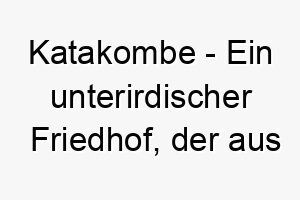 katakombe ein unterirdischer friedhof der aus graebern oder grabkammern besteht ein geheimnisvoller und historischer name fuer einen hund 21312