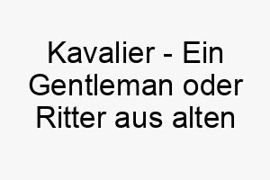 kavalier ein gentleman oder ritter aus alten zeiten ein nobler name fuer einen hoeflichen und respektvollen hund 21198