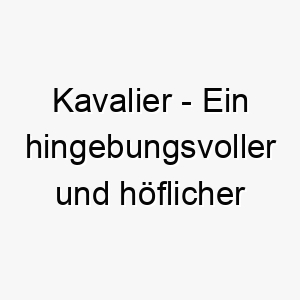 kavalier ein hingebungsvoller und hoeflicher gentleman ein eleganter und respektvoller name fuer einen hund 21253