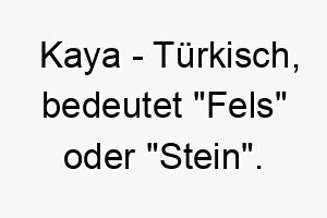 kaya tuerkisch bedeutet fels oder stein bedeutung als hundename fuer einen starken standhaften hund 15627