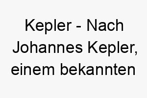 kepler nach johannes kepler einem bekannten astronomen und mathematiker ein toller name fuer einen klugen hund 21180