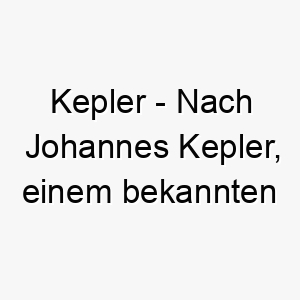 kepler nach johannes kepler einem bekannten astronomen und mathematiker ein toller name fuer einen klugen hund 21180